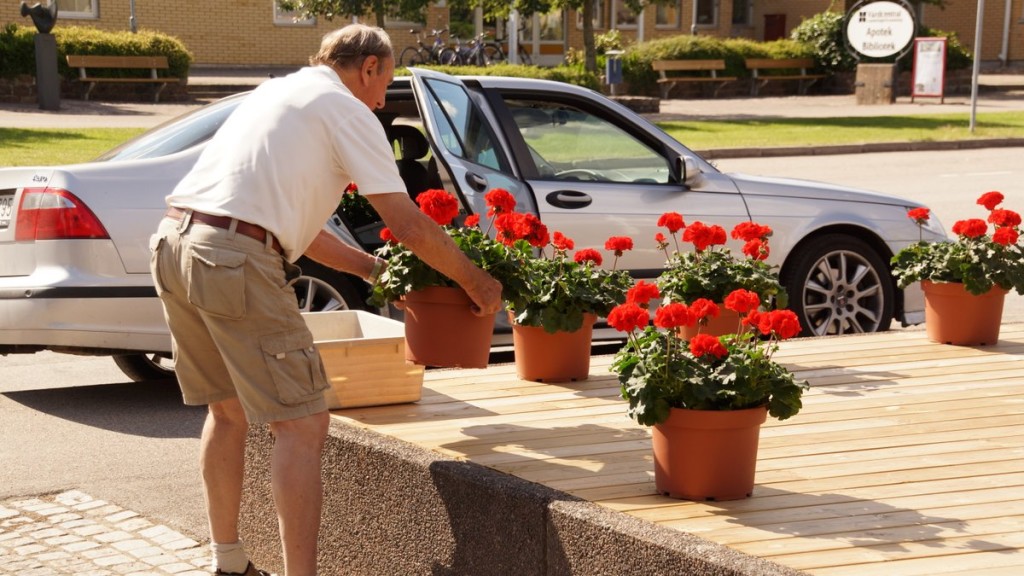 Harry Plantman tyckte att det fick vara nog och såg till att skaffa fram blommor.