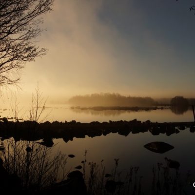 Bilder tagna under vattensänkningen i Granödammen (Mörrumsån)